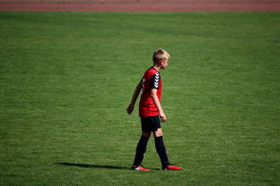 开云官方网站-世界青年滑板锦标赛中国少年夺奖，青少年滑板联赛