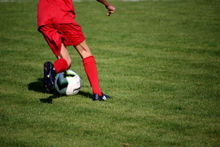 kaiyun开云·官方网站-篮球运动员训练负荷智能监控系统研发及应用，基础阶段篮球训练负荷安排