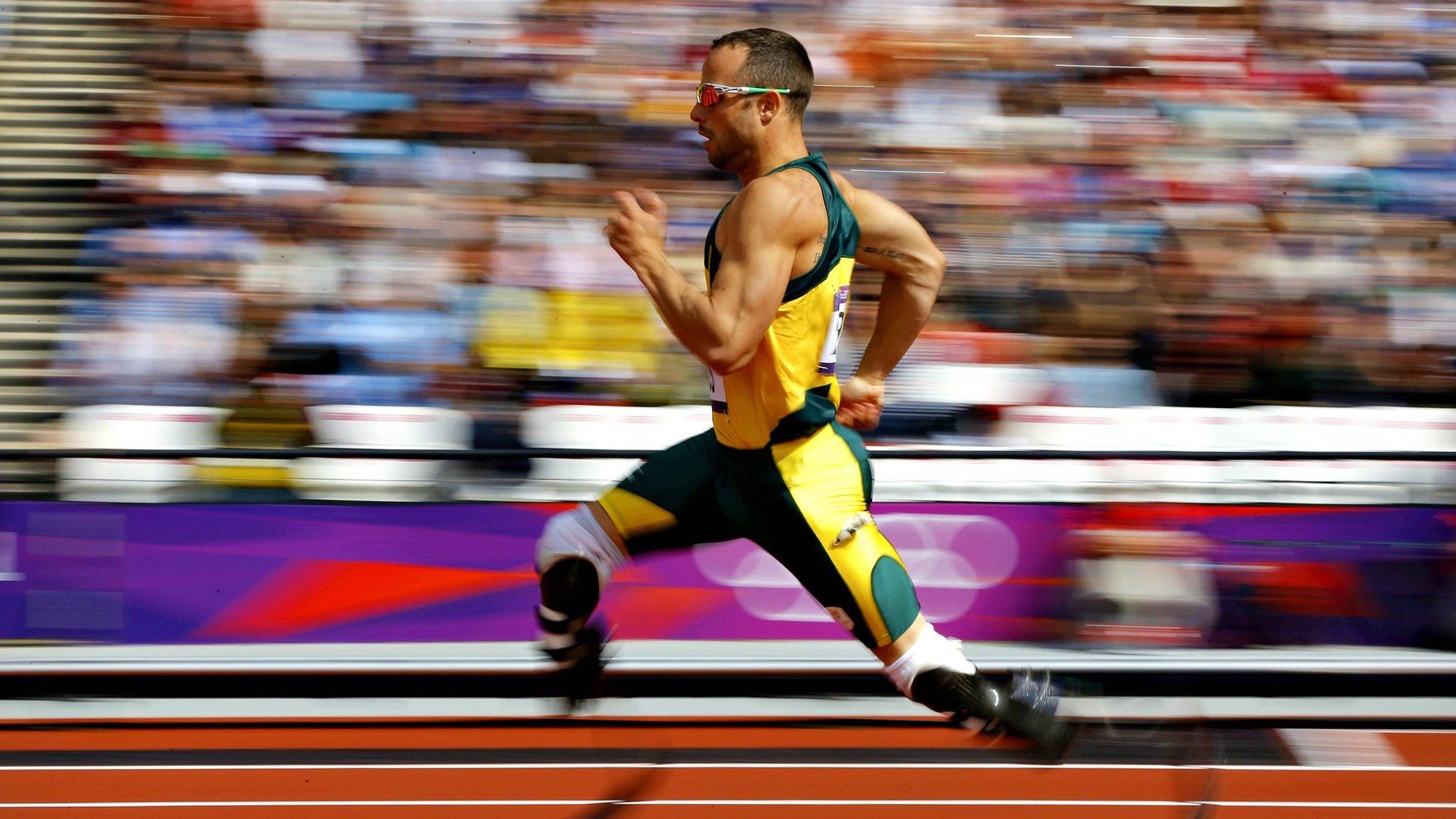 2026体育界年度看点,2021体坛