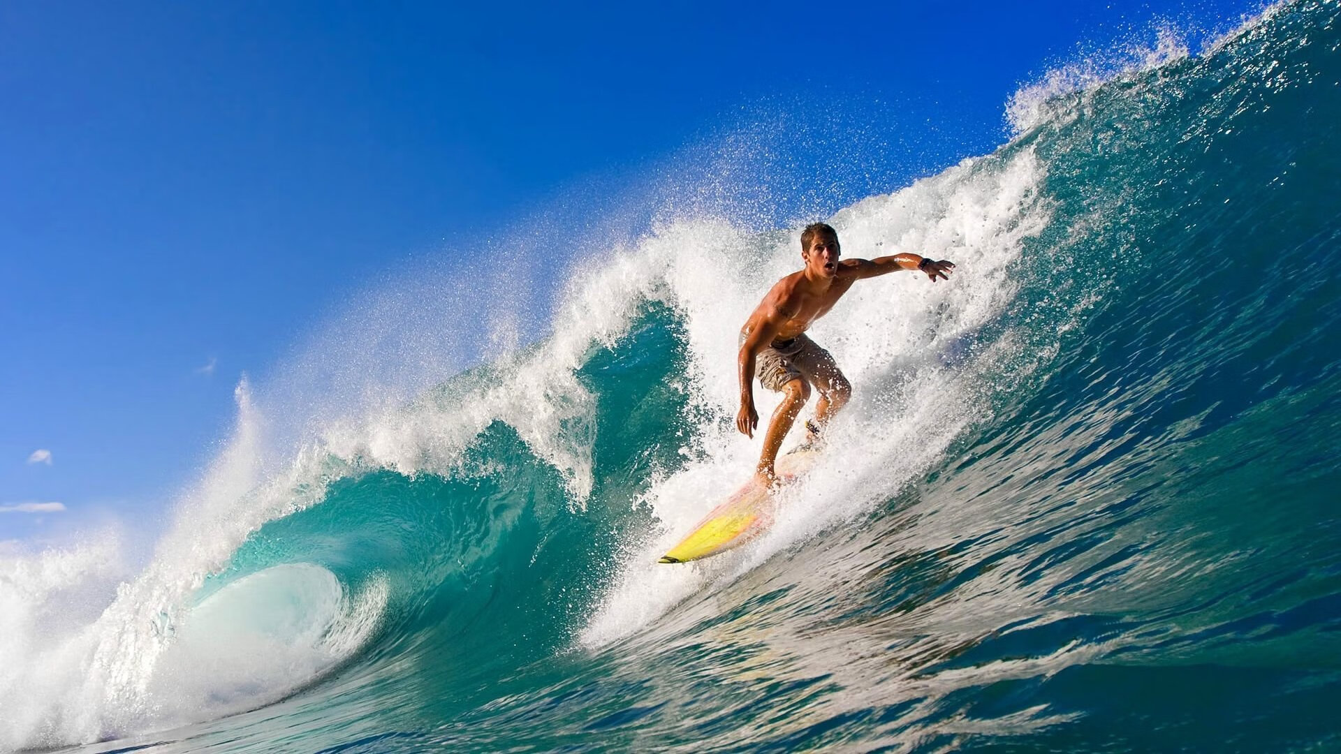 国际博物馆日“文化路线马拉松” 连接多馆的路线变成活历史课